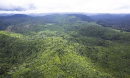 Dio posječene šume kraj Itaitube II Flone u brazilskoj državi Para