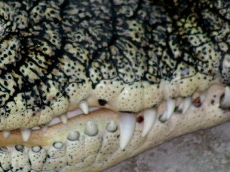 Tko se nalazi na slici?