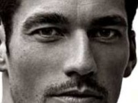 David Gandy